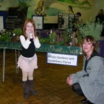 fairygarden
