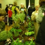 fairygarden2