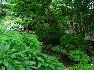 RG&C 2010 Garden Tour