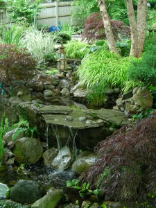 RG&C 2010 Garden Tour