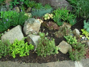 RG&C 2010 Garden Tour