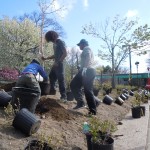 Planting slope