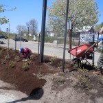 Spreading mulch