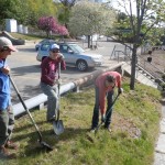 Planting Slope