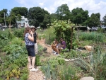 Southwest Boston Community Garden