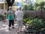 In the Shade of the Arboretum