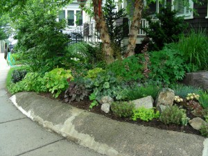 RG&C 2010 Garden Tour